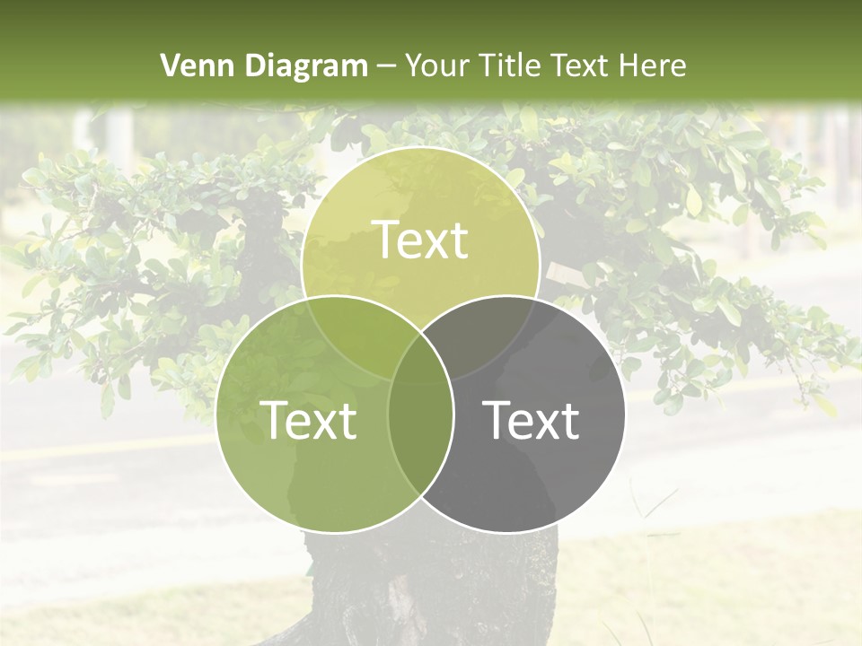 Dome Potted Chinese PowerPoint Template