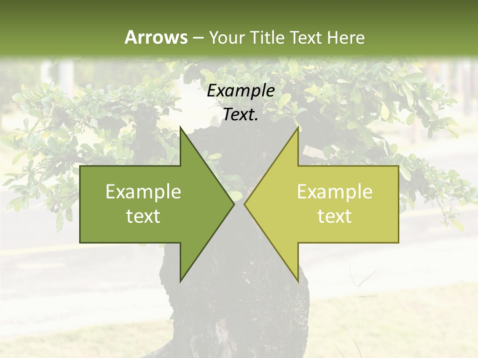 Dome Potted Chinese PowerPoint Template