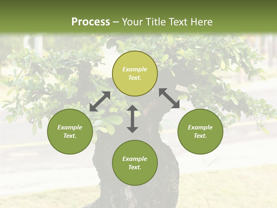 Dome Potted Chinese PowerPoint Template