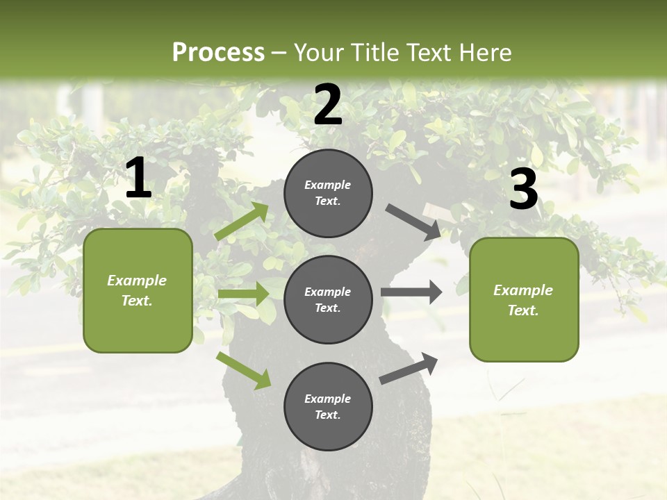Dome Potted Chinese PowerPoint Template