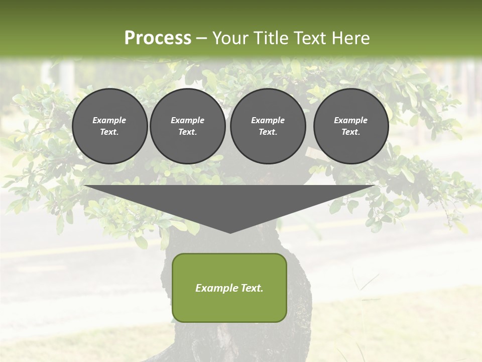 Dome Potted Chinese PowerPoint Template