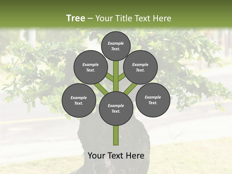 Dome Potted Chinese PowerPoint Template