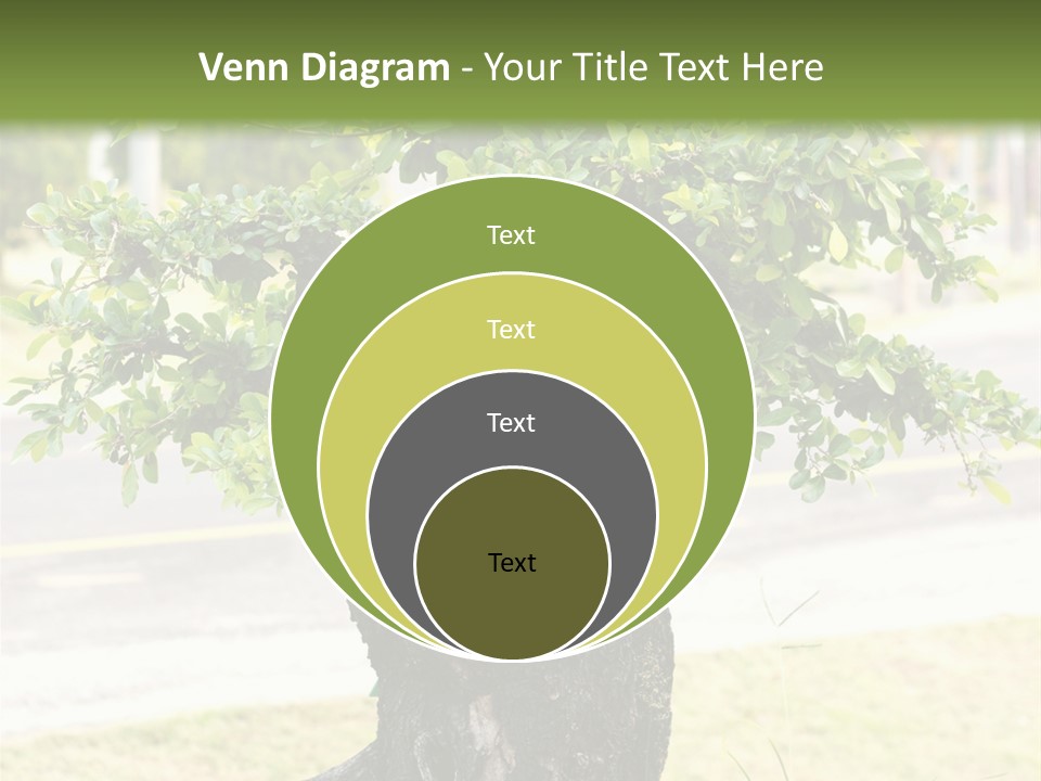 Dome Potted Chinese PowerPoint Template