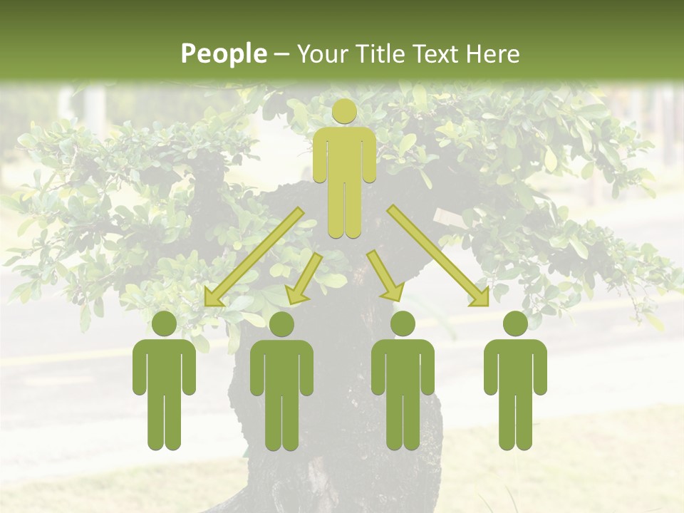 Dome Potted Chinese PowerPoint Template