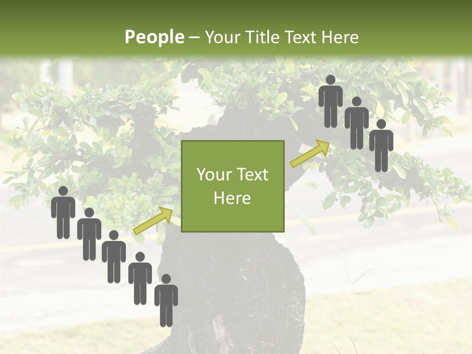 Dome Potted Chinese PowerPoint Template