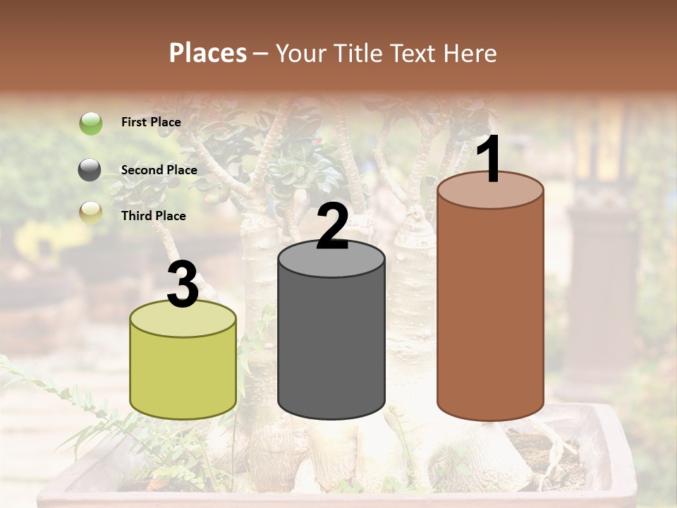 Tropical Style Asian PowerPoint Template