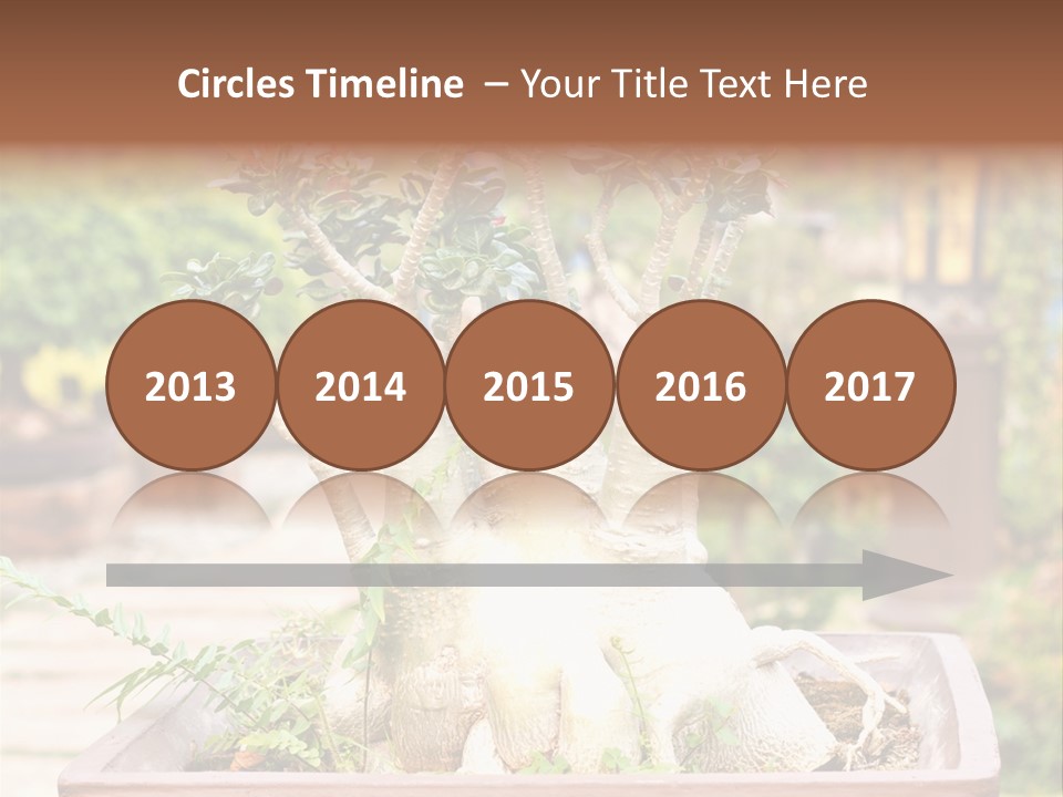 Tropical Style Asian PowerPoint Template