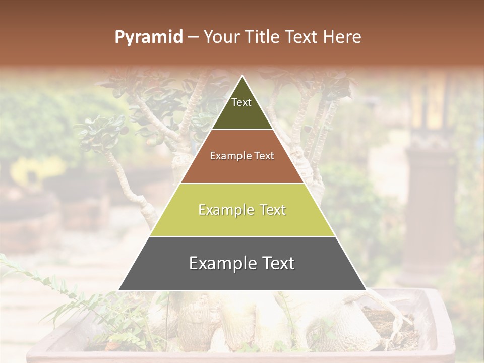 Tropical Style Asian PowerPoint Template