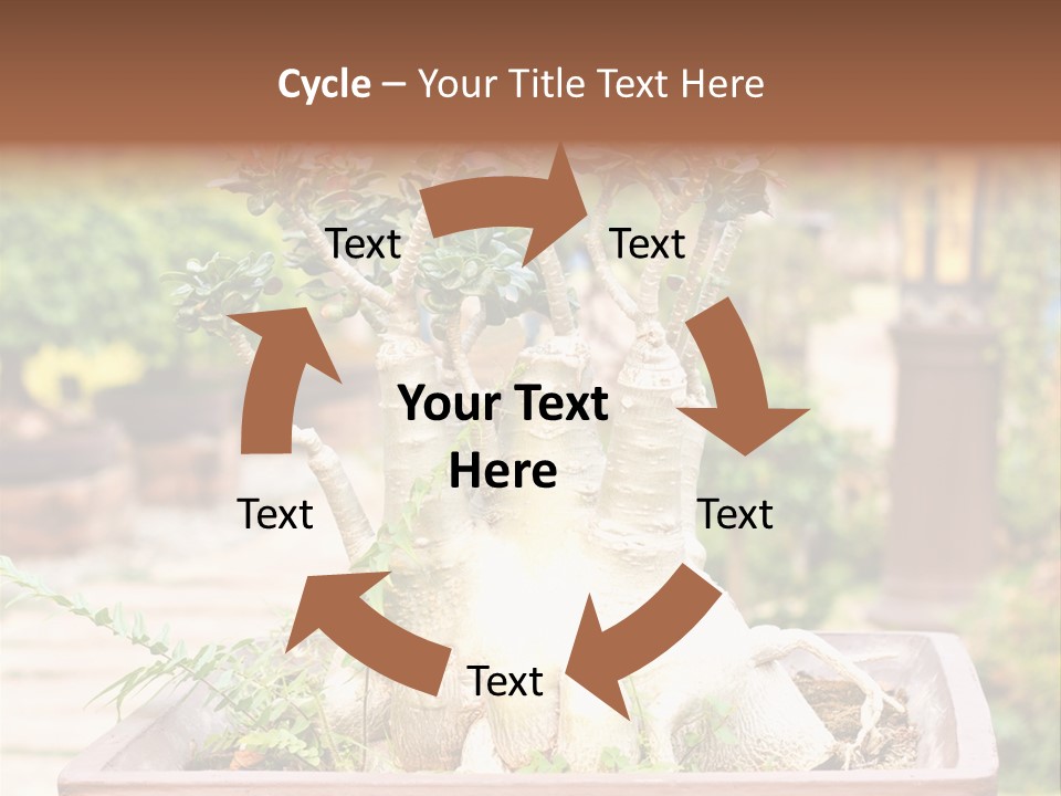 Tropical Style Asian PowerPoint Template