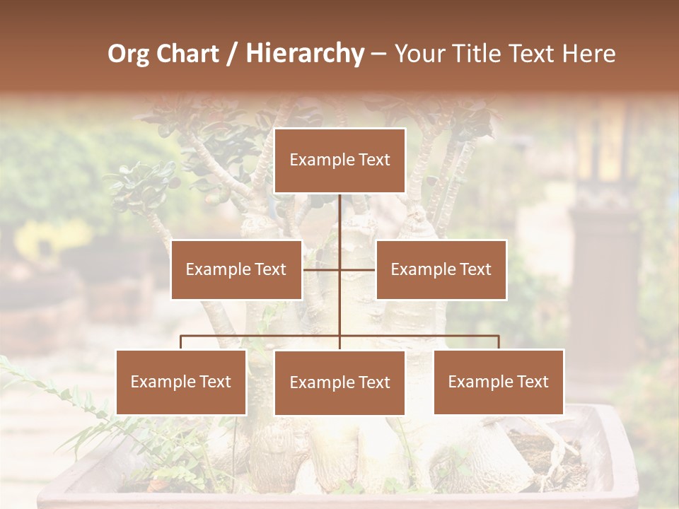 Tropical Style Asian PowerPoint Template