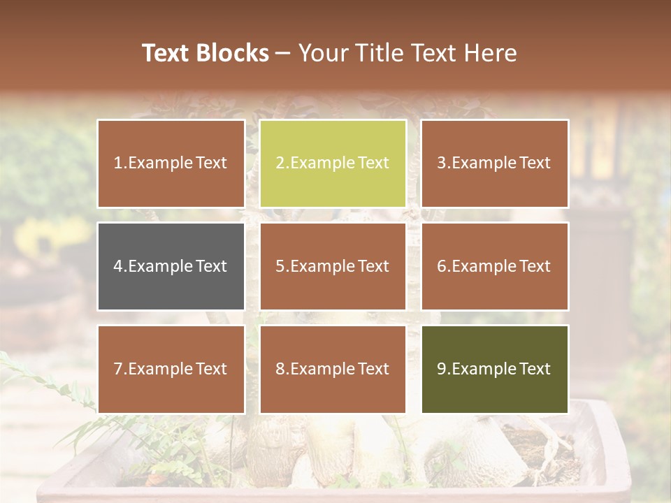 Tropical Style Asian PowerPoint Template