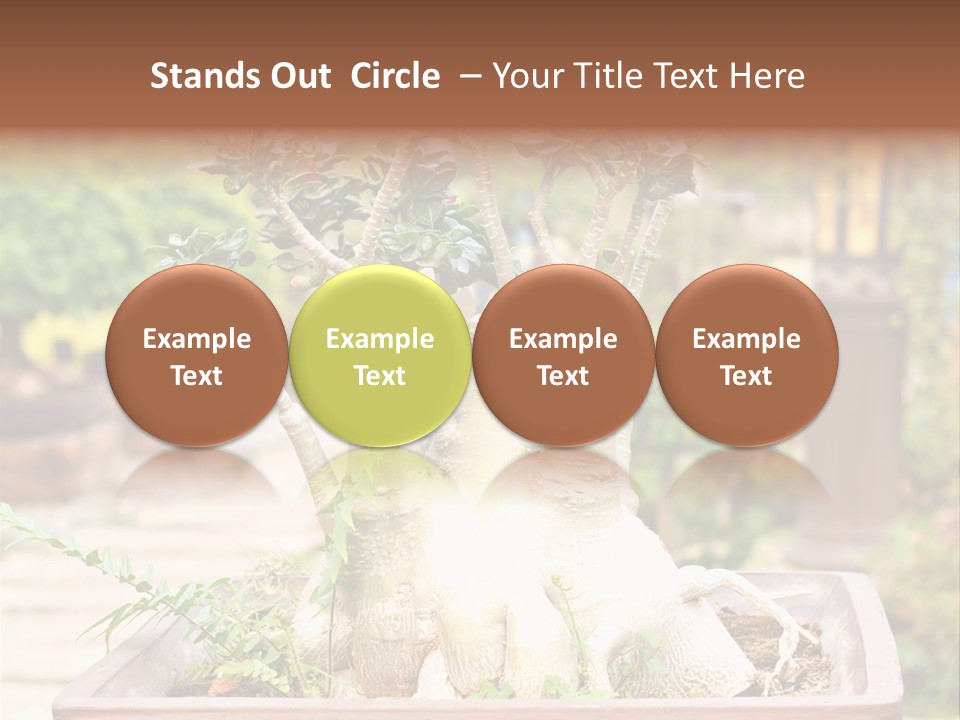 Tropical Style Asian PowerPoint Template