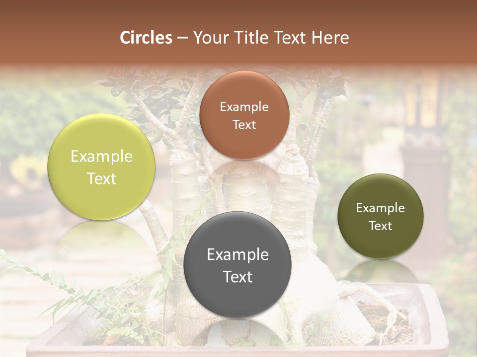 Tropical Style Asian PowerPoint Template