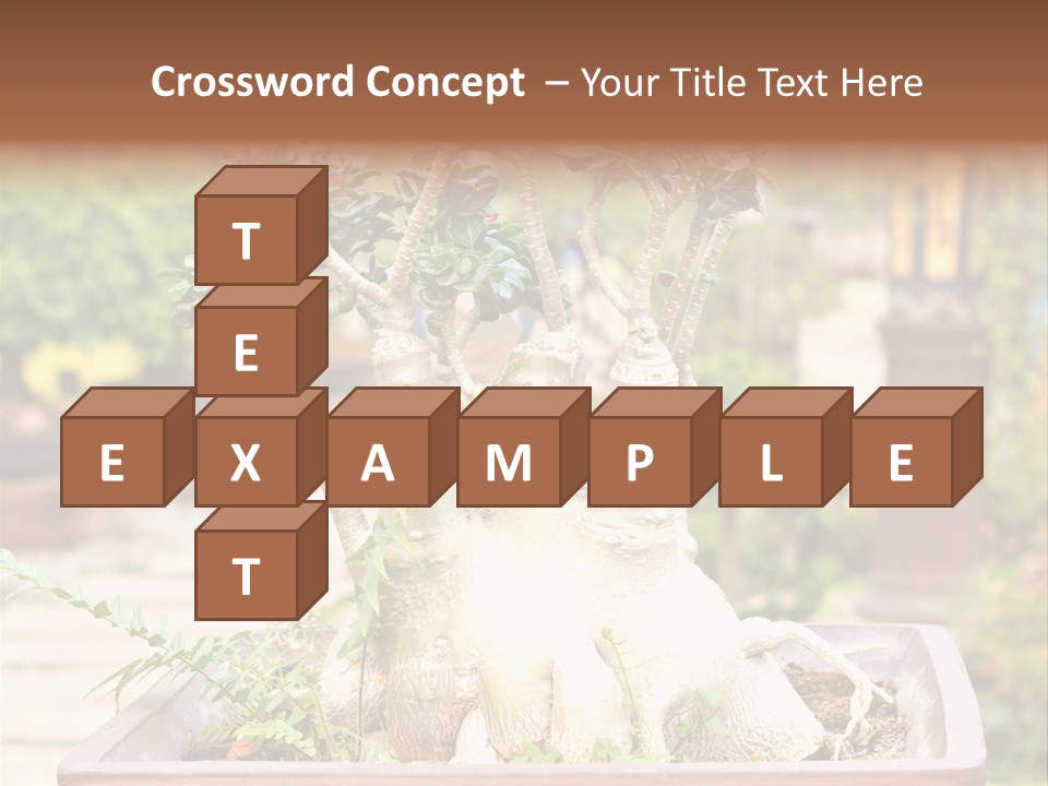 Tropical Style Asian PowerPoint Template