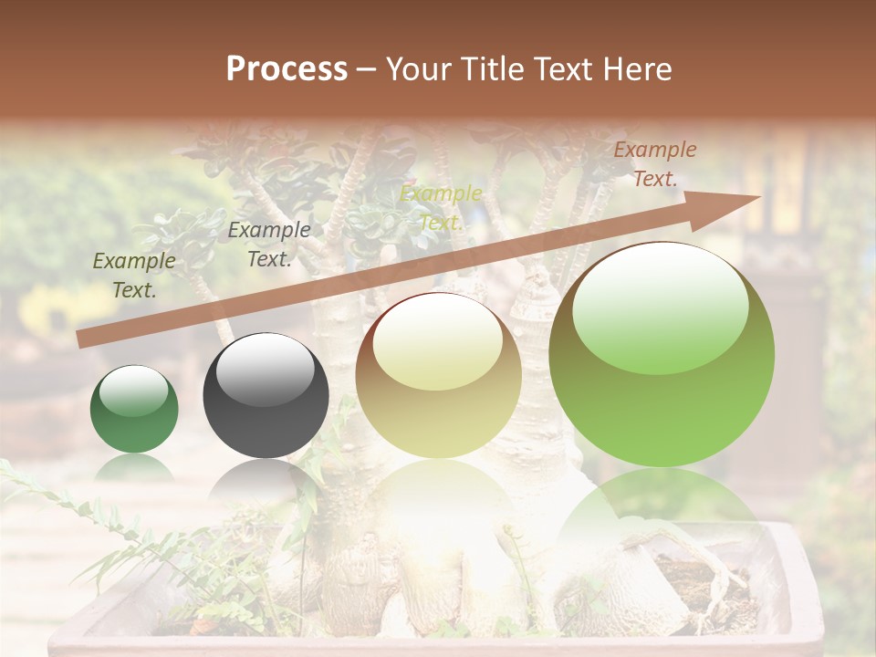 Tropical Style Asian PowerPoint Template