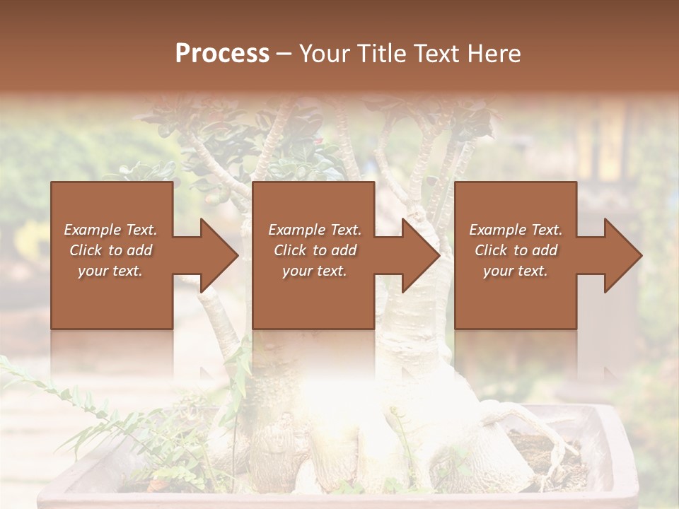Tropical Style Asian PowerPoint Template