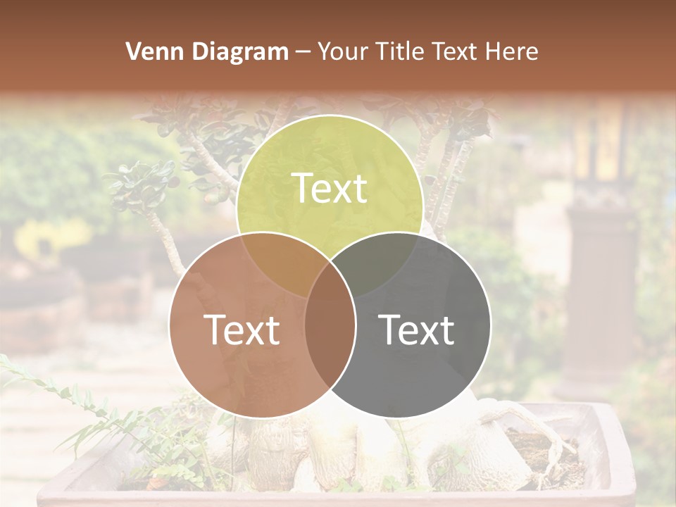 Tropical Style Asian PowerPoint Template