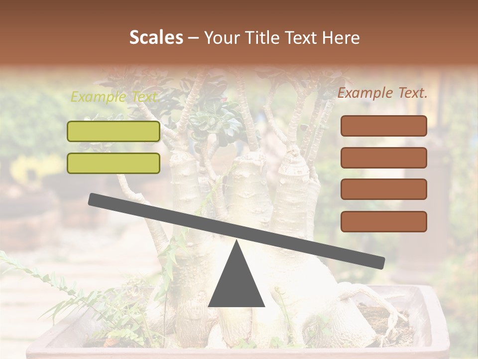 Tropical Style Asian PowerPoint Template