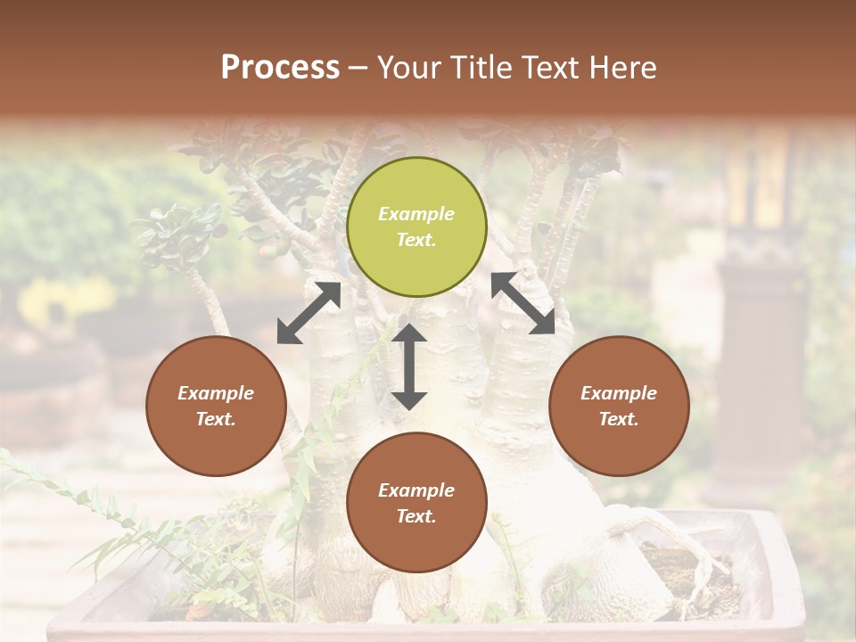 Tropical Style Asian PowerPoint Template