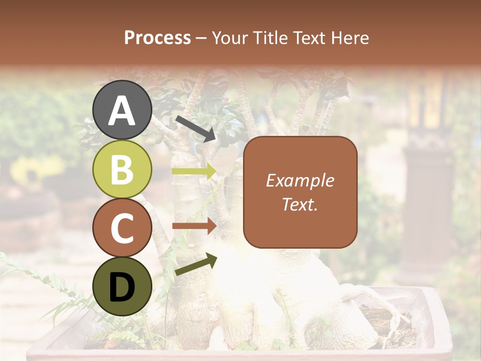 Tropical Style Asian PowerPoint Template