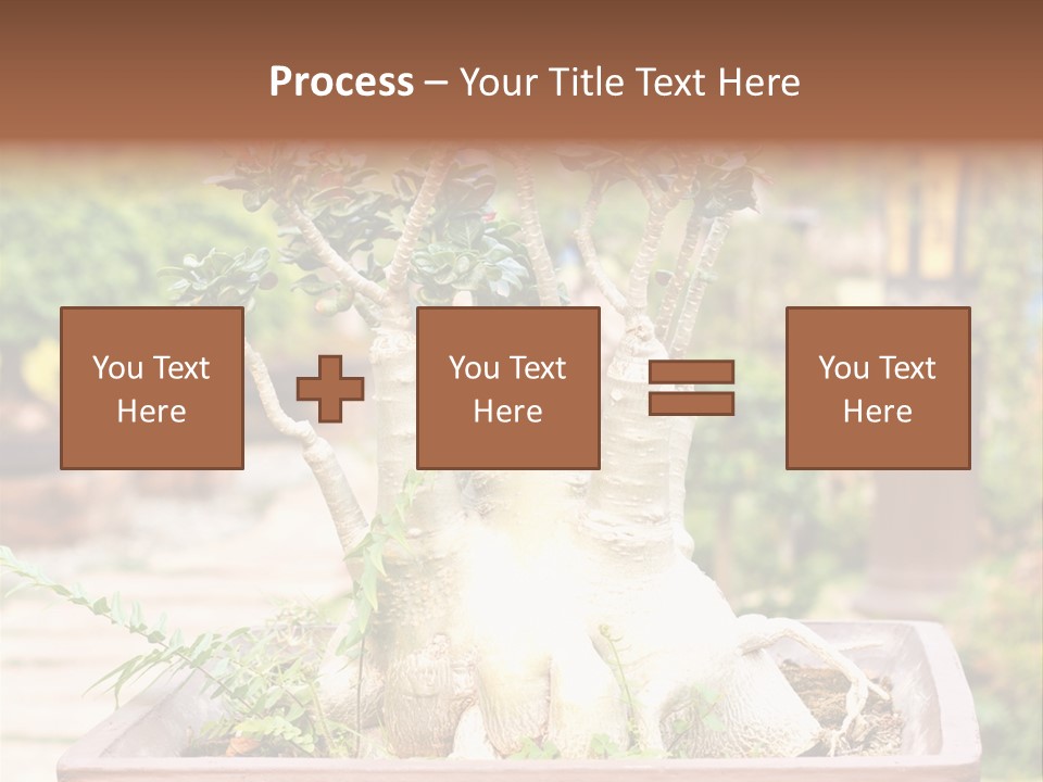 Tropical Style Asian PowerPoint Template