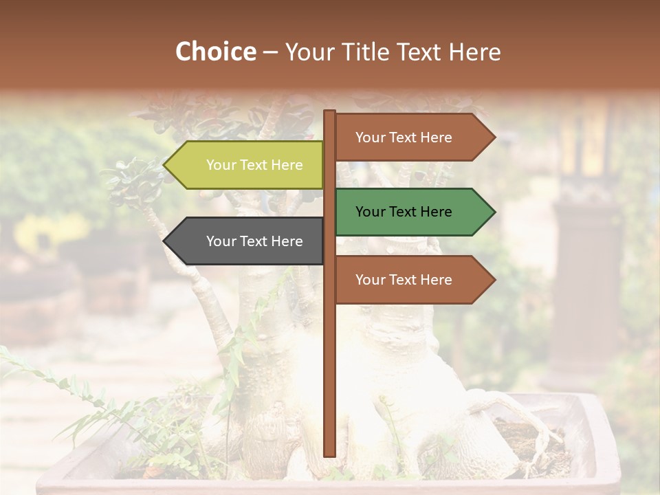 Tropical Style Asian PowerPoint Template