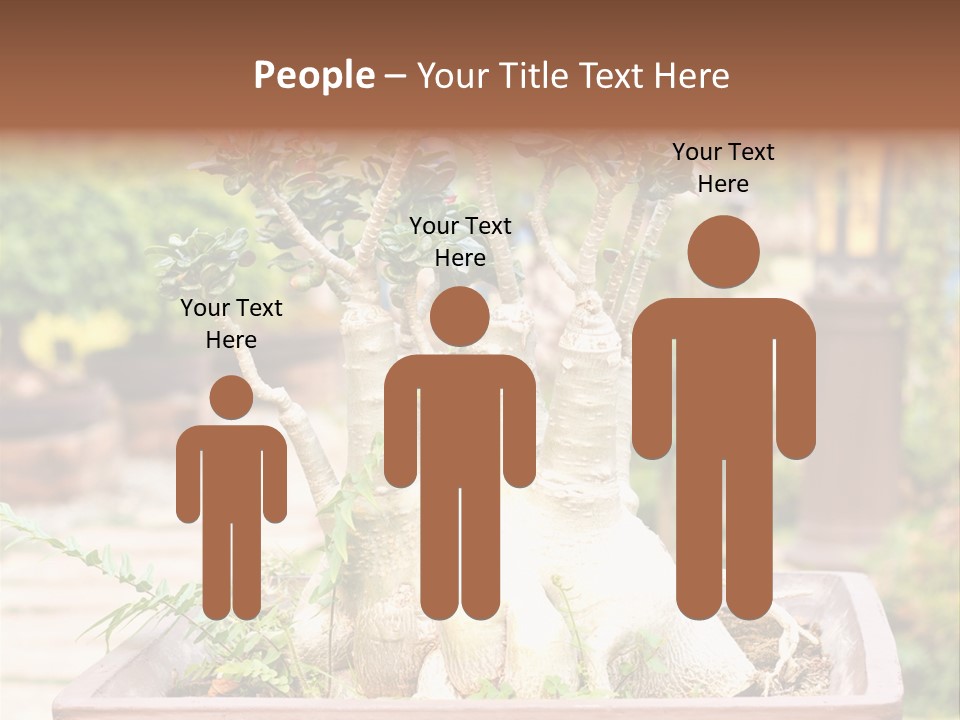 Tropical Style Asian PowerPoint Template