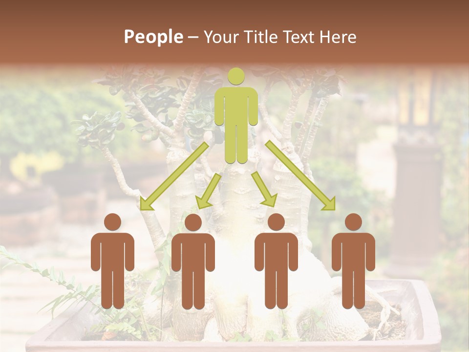 Tropical Style Asian PowerPoint Template