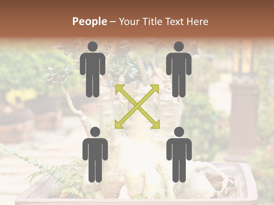 Tropical Style Asian PowerPoint Template