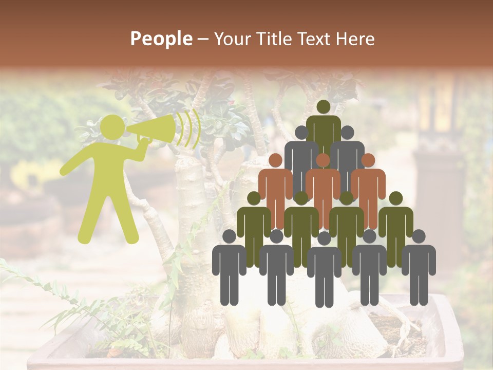 Tropical Style Asian PowerPoint Template