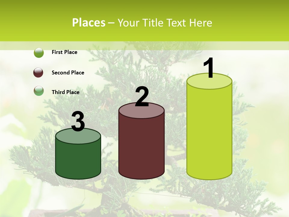 Oriental Colour Japan PowerPoint Template