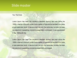 Oriental Colour Japan PowerPoint Template