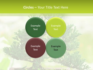 Oriental Colour Japan PowerPoint Template