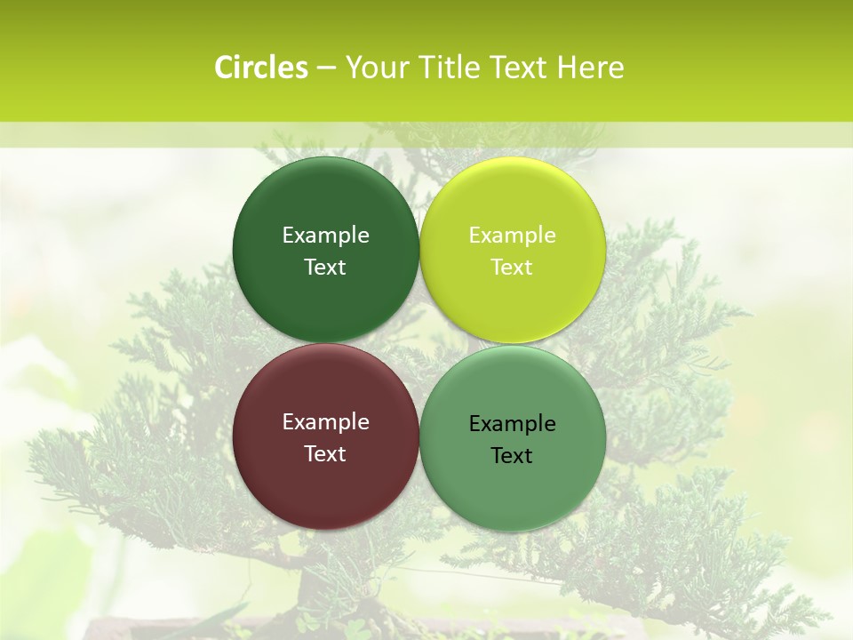 Oriental Colour Japan PowerPoint Template