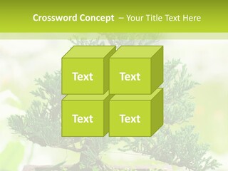 Oriental Colour Japan PowerPoint Template