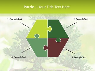 Oriental Colour Japan PowerPoint Template