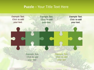 Oriental Colour Japan PowerPoint Template