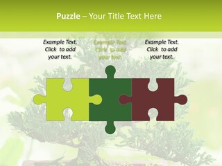 Oriental Colour Japan PowerPoint Template