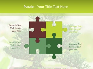 Oriental Colour Japan PowerPoint Template