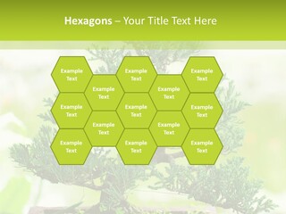 Oriental Colour Japan PowerPoint Template