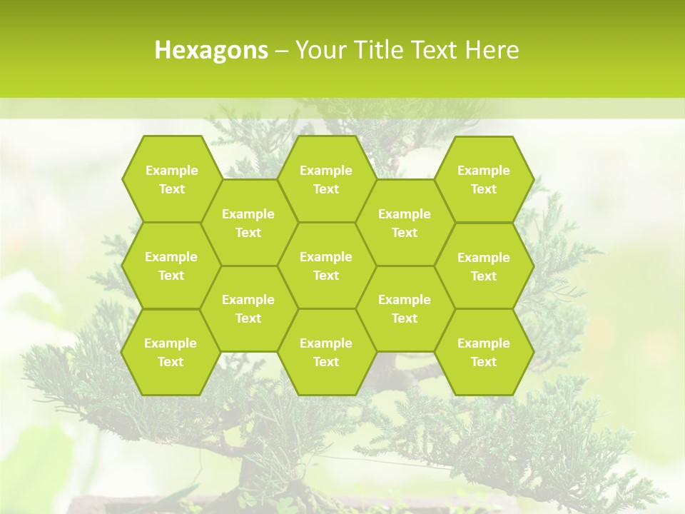 Oriental Colour Japan PowerPoint Template