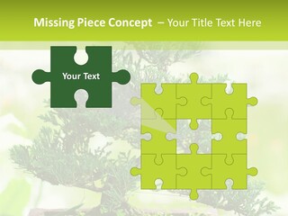 Oriental Colour Japan PowerPoint Template