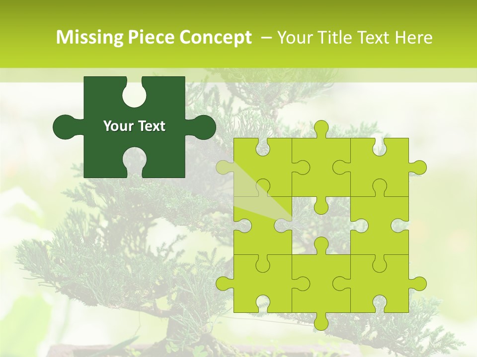 Oriental Colour Japan PowerPoint Template