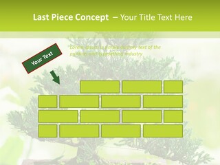 Oriental Colour Japan PowerPoint Template