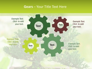 Oriental Colour Japan PowerPoint Template