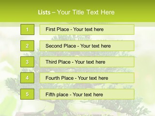 Oriental Colour Japan PowerPoint Template