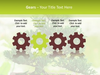 Oriental Colour Japan PowerPoint Template