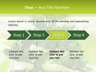 Oriental Colour Japan PowerPoint Template