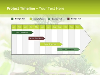 Oriental Colour Japan PowerPoint Template