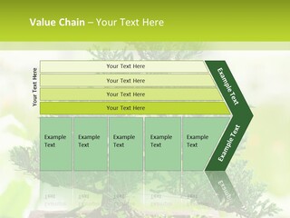 Oriental Colour Japan PowerPoint Template